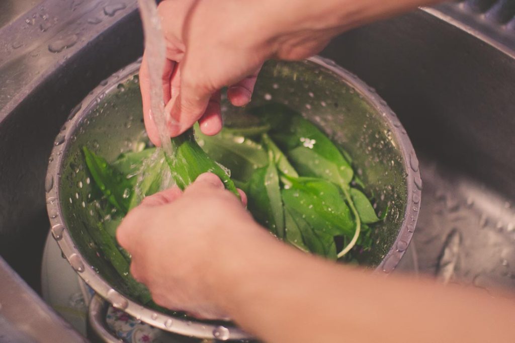 Pesto z czosnku niedźwiedziego Czosnekniedzwiedzi pl